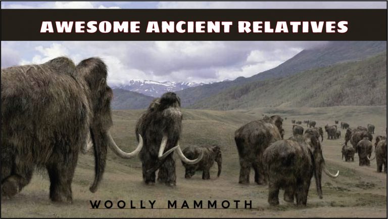 Woolly Mammoth Info Sheet Awakening The Horse People