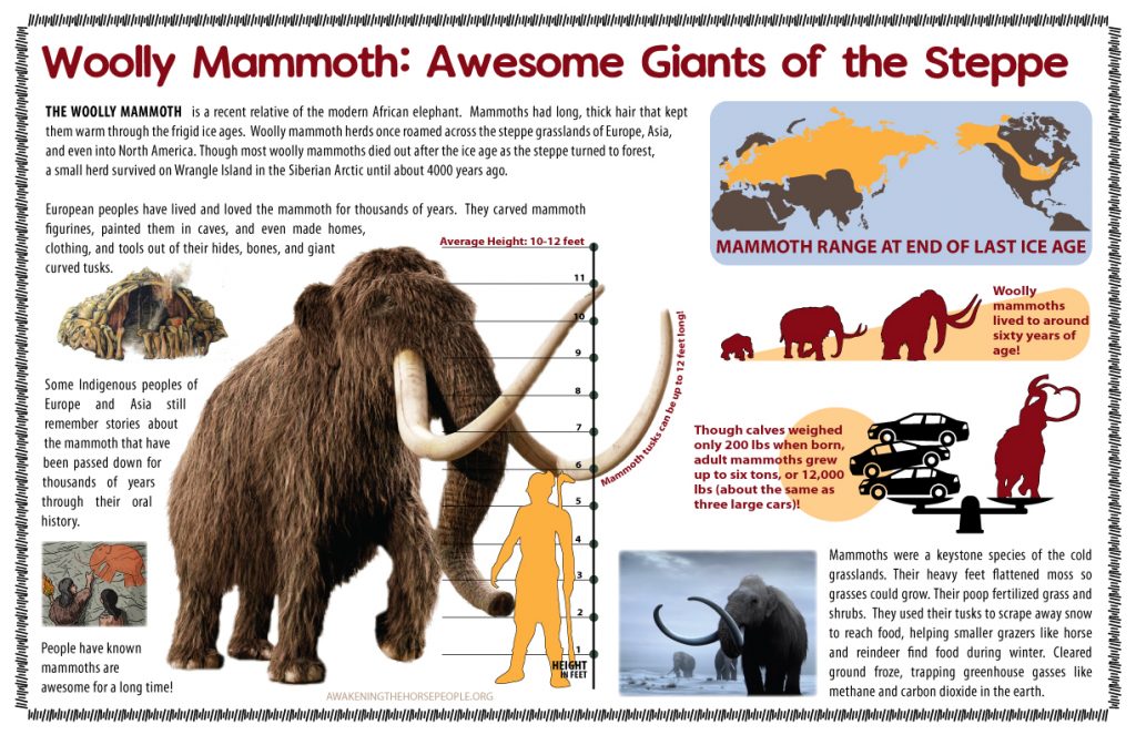 woolly mammoth research paper word count
