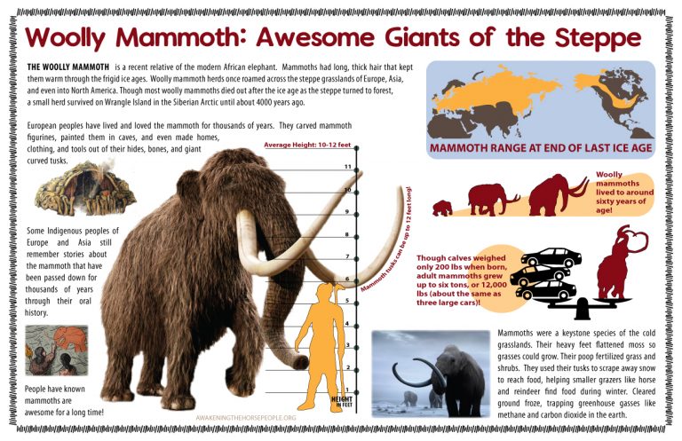 Woolly Mammoth Info-Sheet | Awakening The Horse People